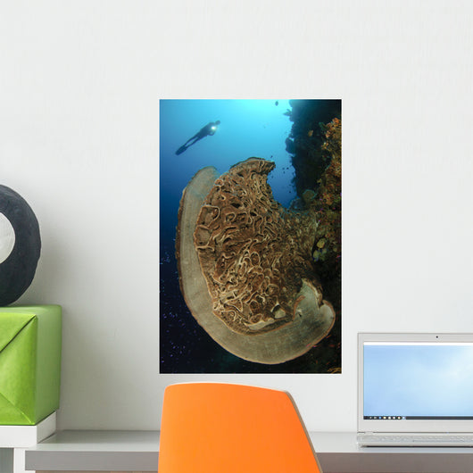 Salvador Dali Sponge with Wall Decal Design 10