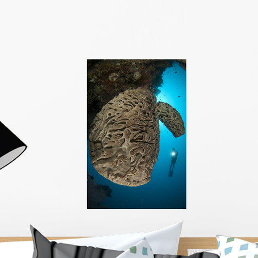 Salvador Dali Sponge with Wall Decal Design 9