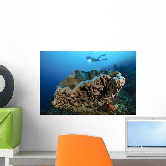 Salvador Dali Sponge with Wall Decal Design 8
