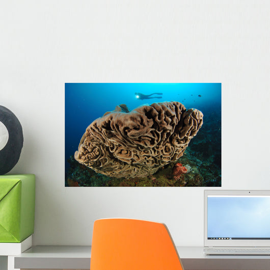 Salvador Dali Sponge with Wall Decal Design 7