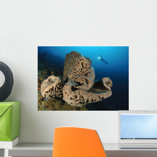 Salvador Dali Sponge with Wall Decal Design 6