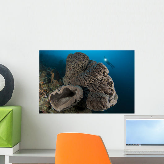 Salvador Dali Sponge with Wall Decal Design 5
