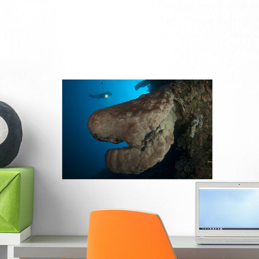 Salvador Dali Sponge with Wall Decal Design 4
