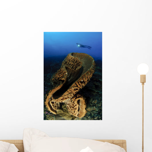 Salvador Dali Sponge with Wall Decal Design 3