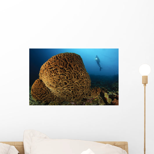 Salvador Dali Sponge with Wall Decal Design 2