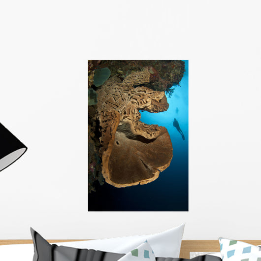 Salvador Dali Sponge with Wall Decal Design 1