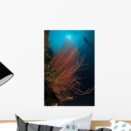 Grand Sea Whip with Wall Decal Design 1