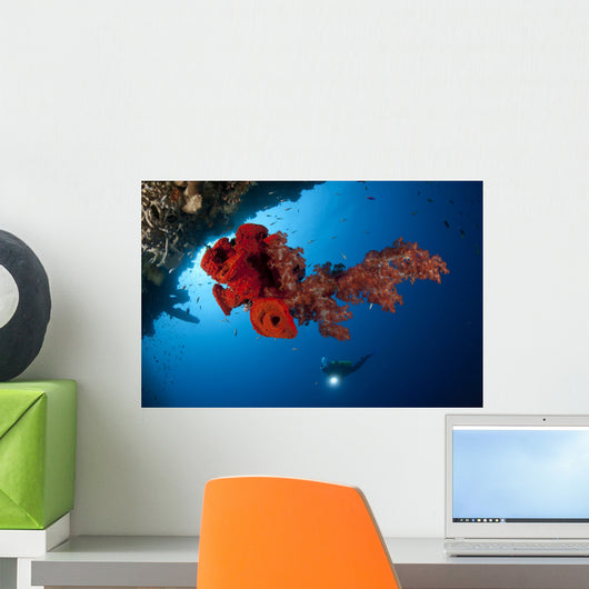 Diver Looks Bright Red Wall Decal Design 2
