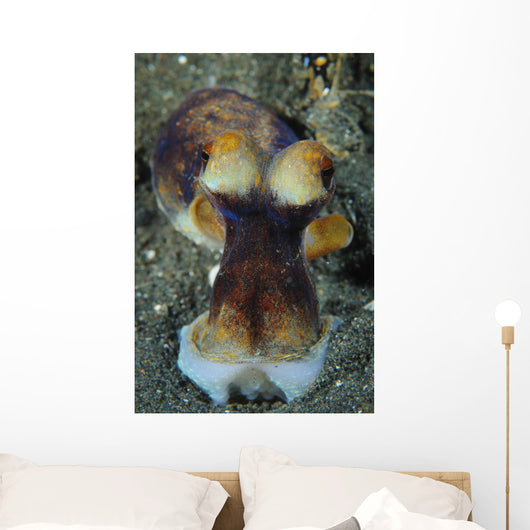 Day Octopus Volcanic Sand Wall Decal