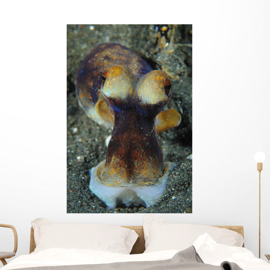 Day Octopus Volcanic Sand Wall Decal