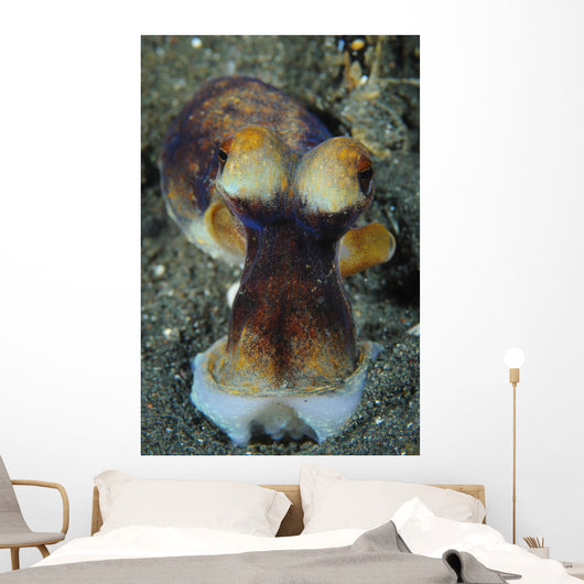 Day Octopus Volcanic Sand Wall Decal