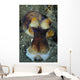 Day Octopus Volcanic Sand Wall Decal