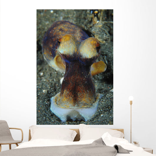 Day Octopus Volcanic Sand Wall Decal