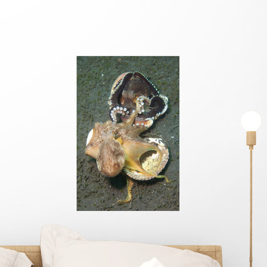 Two Coconut Octopus Wrestling Wall Decal