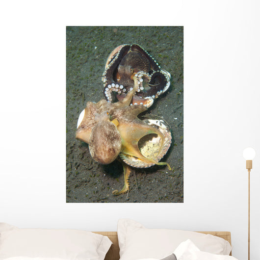 Two Coconut Octopus Wrestling Wall Decal