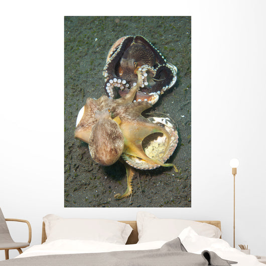 Two Coconut Octopus Wrestling Wall Decal