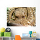 Coconut Octopus Lembeh Strait Wall Decal Design 2