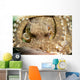 Coconut Octopus Lembeh Strait Wall Decal Design 2