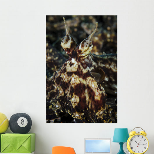 Mimic Octopus Facial Lembeh Wall Decal