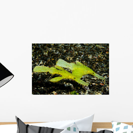 Two Robust Ghost Pipefish Wall Decal