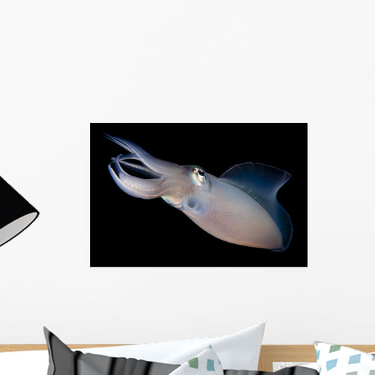 Bigfin Reef Squid Tending Wall Decal Design 6