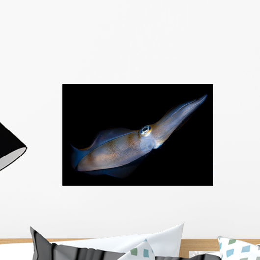 Bigfin Reef Squid Tending Wall Decal Design 2