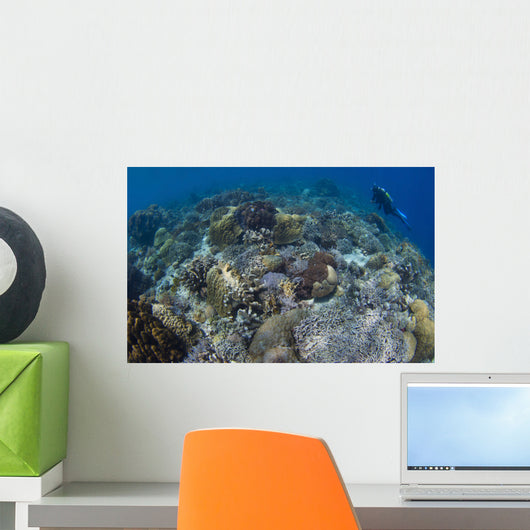 Reef Top Seascape Bunaken Wall Decal