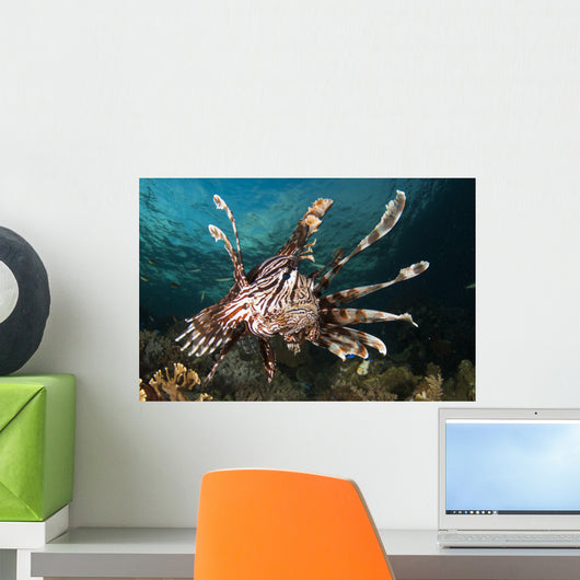 Close-up Lionfish Raja Ampat Wall Decal