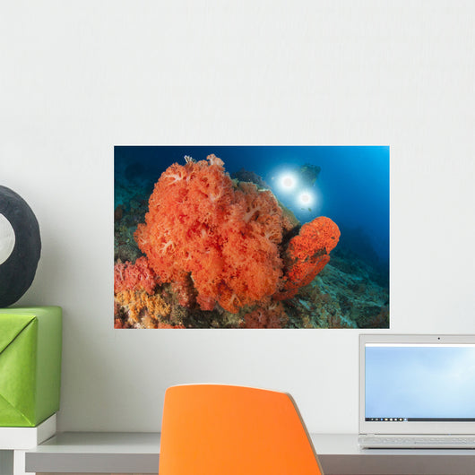 Colorful Reefs Covered Orange Wall Decal Design 3