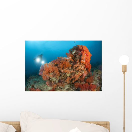 Colorful Reefs Covered Orange Wall Decal Design 2