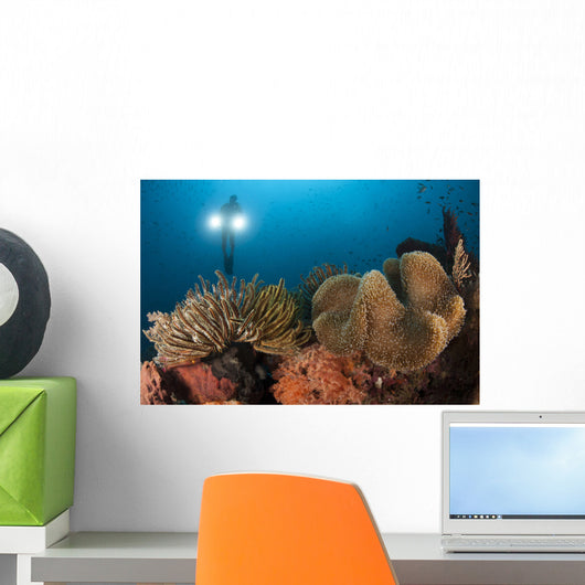 Diver Illuminates Mushroom Leather Wall Decal