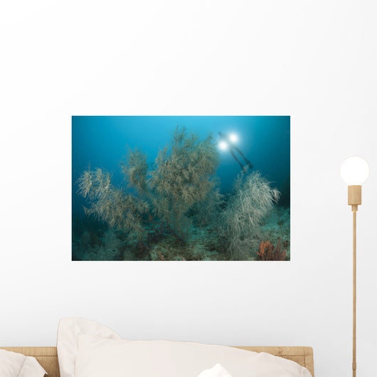 Black Coral Illuminated Diver Wall Decal
