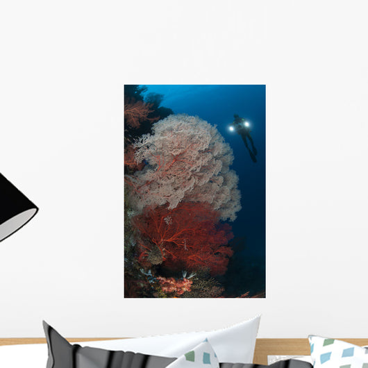 Sea Fans Illuminated Diver Wall Decal