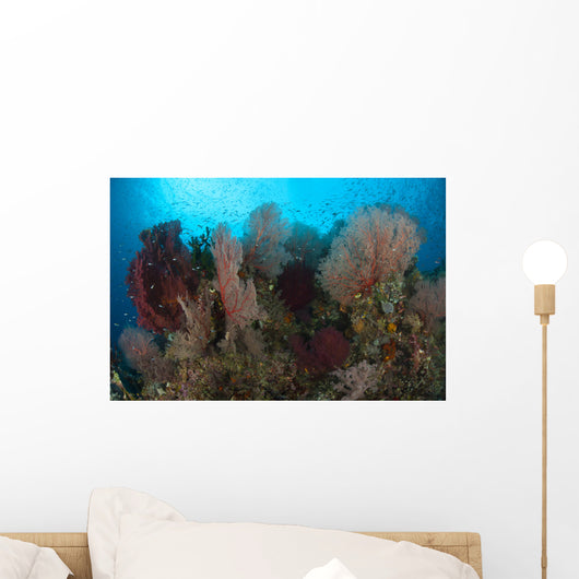 Reefscape Raja Ampat Covered Wall Decal Design 2
