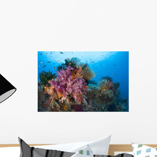 Colorful Soft Corals Adorn Wall Decal Design 4