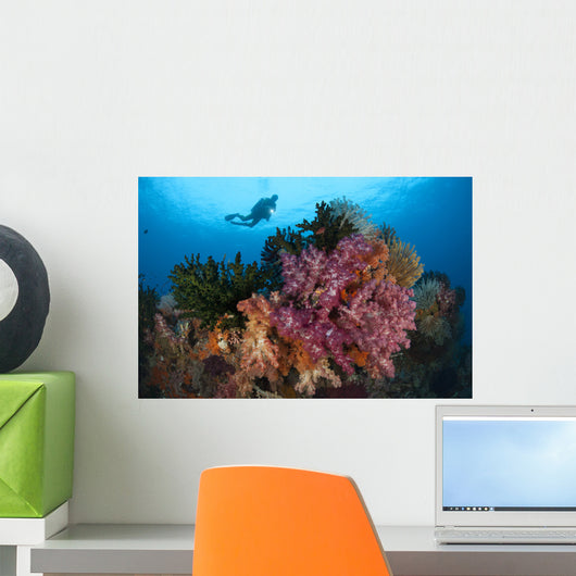 Diver Approaches Colorful Soft Wall Decal Design 5