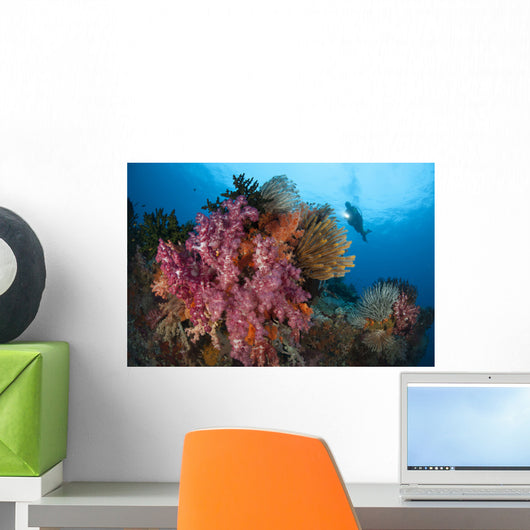 Diver Approaches Colorful Soft Wall Decal Design 4