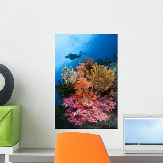 Diver Approaches Colorful Soft Wall Decal Design 3