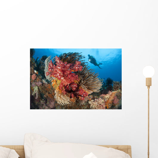 Diver Approaches Colorful Soft Wall Decal Design 2