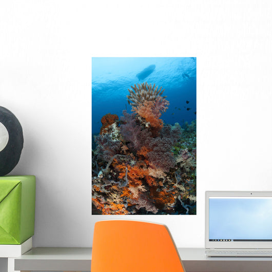 Colorful Crinoids and Soft Wall Decal Design 1