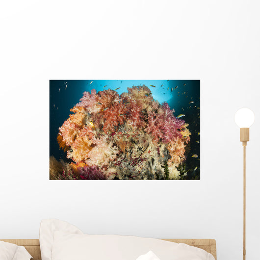 Dead Table Coral Now Wall Decal