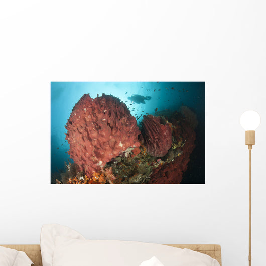 Diver Approaching Giant Barrel Wall Decal Design 1