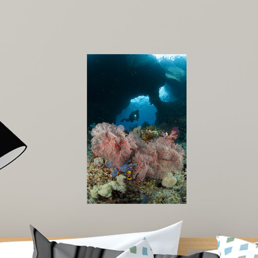 Diver Approaches Gorgonian Sea Wall Decal