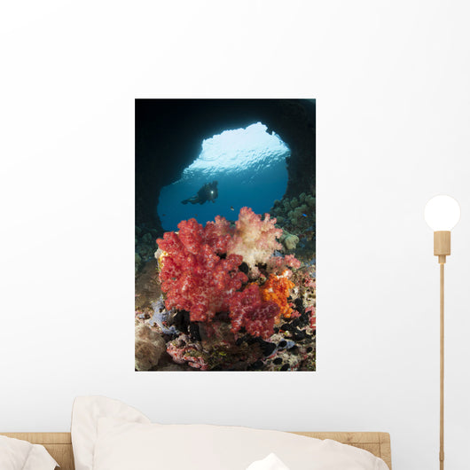 Diver Approaches Soft Corals Wall Decal