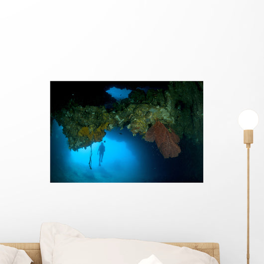 Diver Exploring Underwater Cavern Wall Decal Design 1