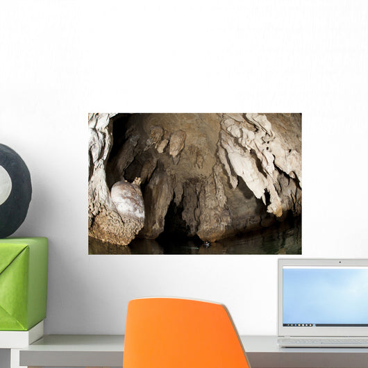 Snorkeler Explores Spectacular Tomolol Wall Decal Design 2