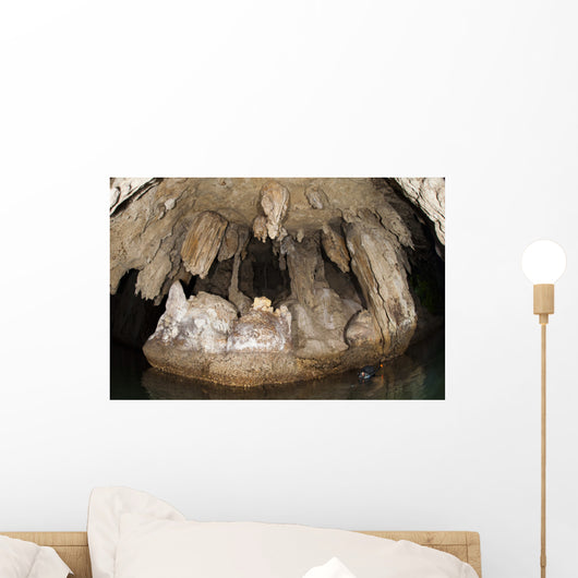 Snorkeler Explores Spectacular Tomolol Wall Decal Design 1