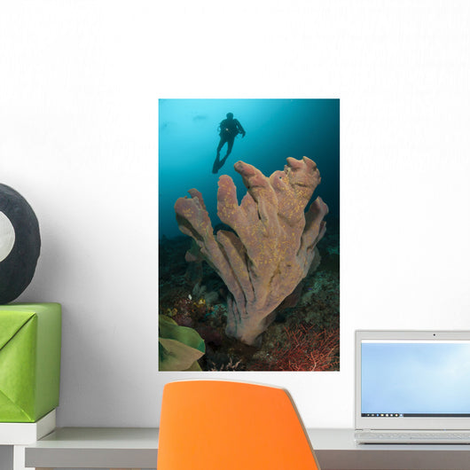 Diver and Elephant Ear Wall Decal Design 2