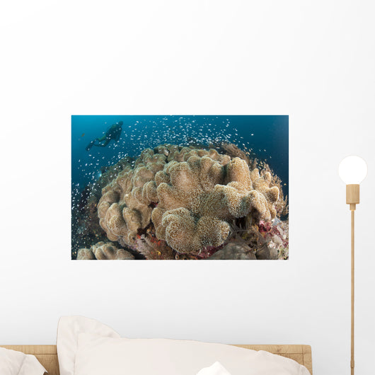 Diver Approaching Large Group Wall Decal