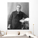 President William McKinley Seated Wall Decal Design 2